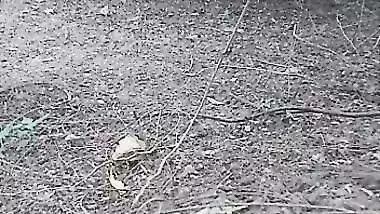 Desi Village Randi Bhabhis Outdoor Fucking With Lover Part 1